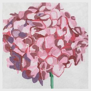 Pink Hydrangea Bloom by Jean Smith Designs (thumbnail)