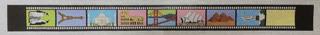 around the world camera strap by KCN Designers (thumbnail)