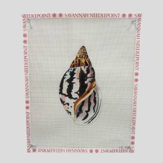Seashell - Front by Colors of Praise Art Studio (thumbnail)