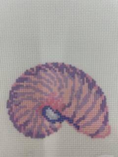 Nautilus Shell by Atlantic Blue Canvas (thumbnail)