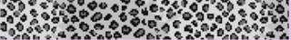 Snow Leopard Belt by Voila! (thumbnail)