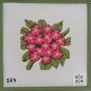 Primrose by Patricia Sone (thumbnail)