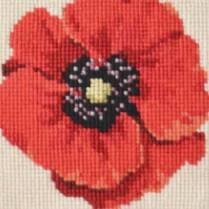 Chelsea Poppy Mini Kit by Elizabeth Bradley Designs (thumbnail)