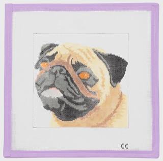 Pug by Cat's Cradle (thumbnail)